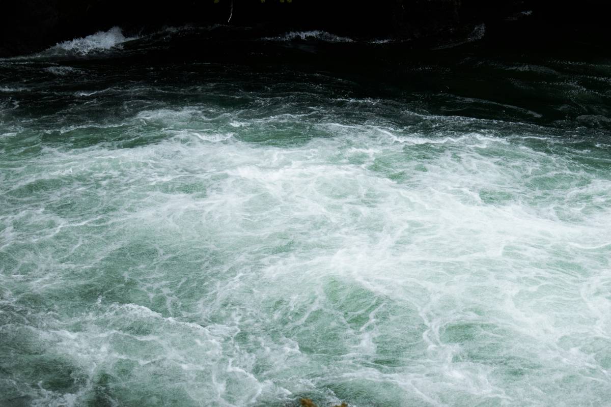 River Hazard Insurance: 7 Proven Ways to Avoid Costly Kayaking Mistakes