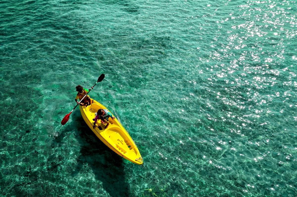 Kayak Liability Policies: 7 Proven Ways to Avoid Costly Rental Mistakes